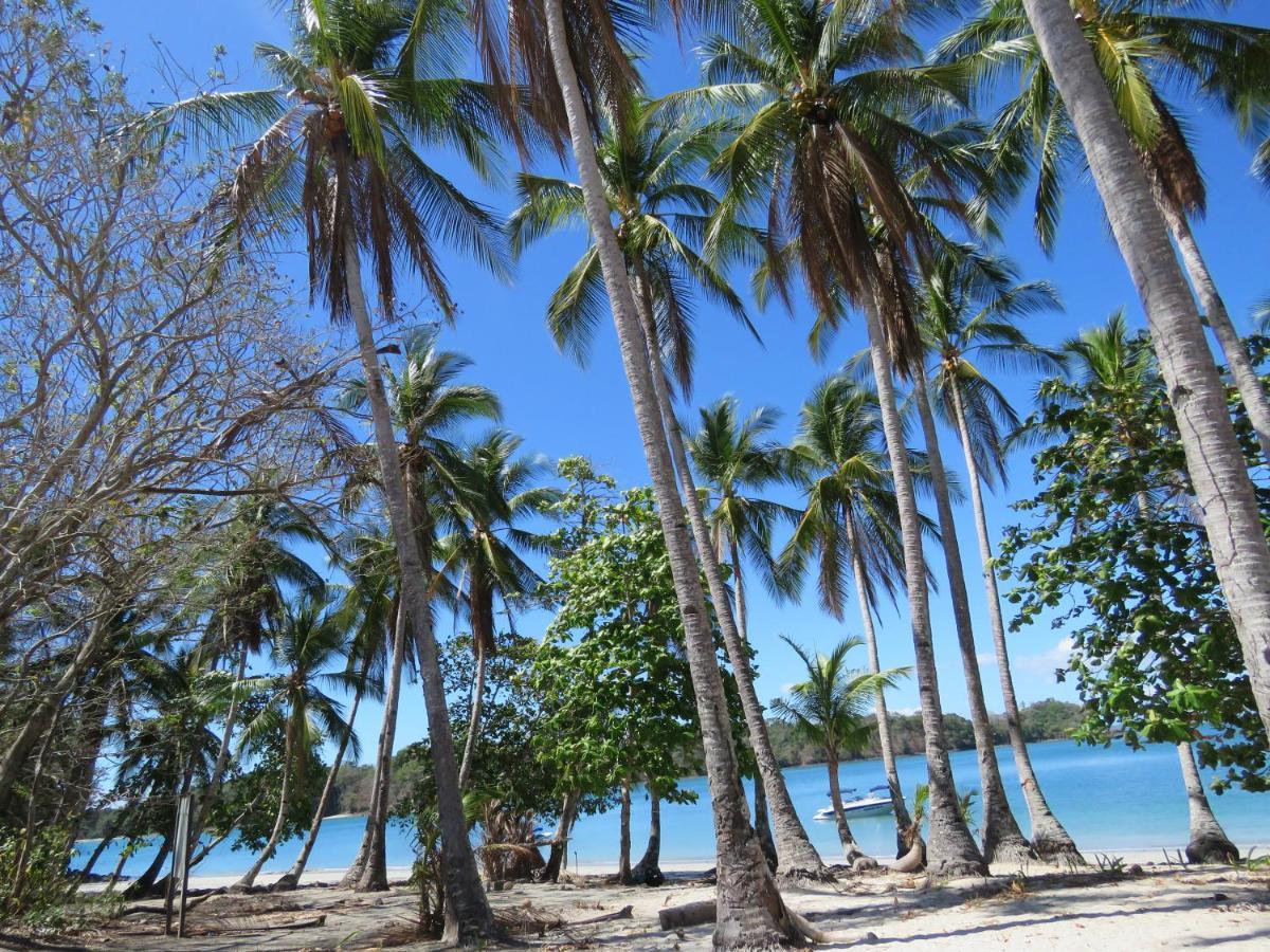 Hotel Bocas Del Mar Boca Chica Zewnętrze zdjęcie